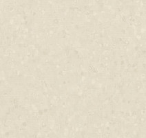 Линолеум Forbo Sphera Element 50022 shell фото 1 | FLOORDEALER